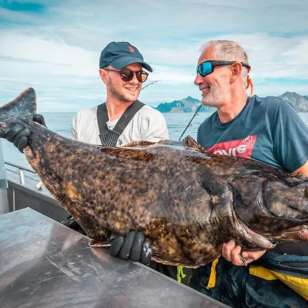 Villa Lofoten Seaview Leknes