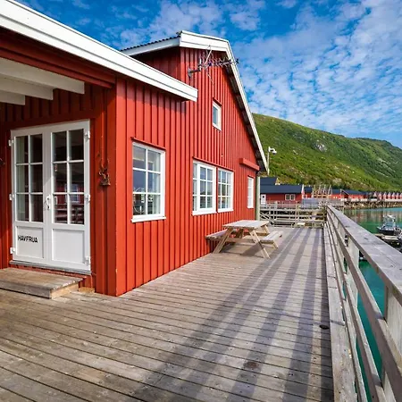 Lofoten Seaview Vila *